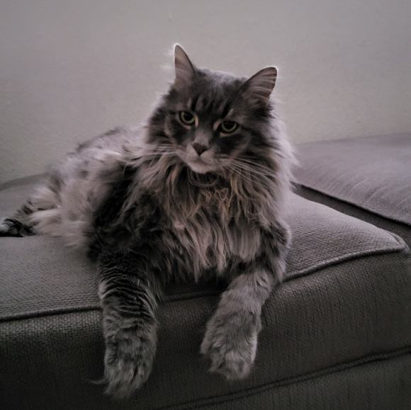 Meet your Posher, Ashlee - Picture 3 of 11